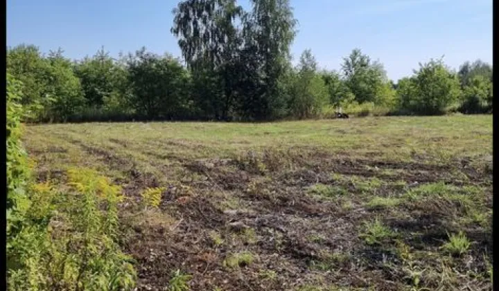 Działka budowlana Kazimierów, ul. Różana