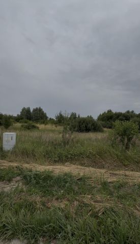 Działka rolna Kłodowo. Zdjęcie 2