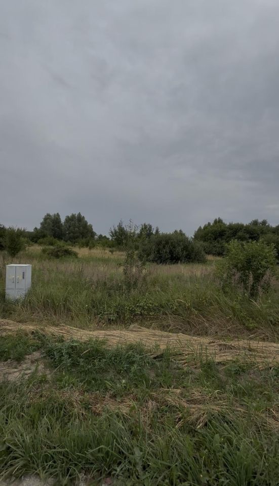 Działka rolna Kłodowo. Zdjęcie 2