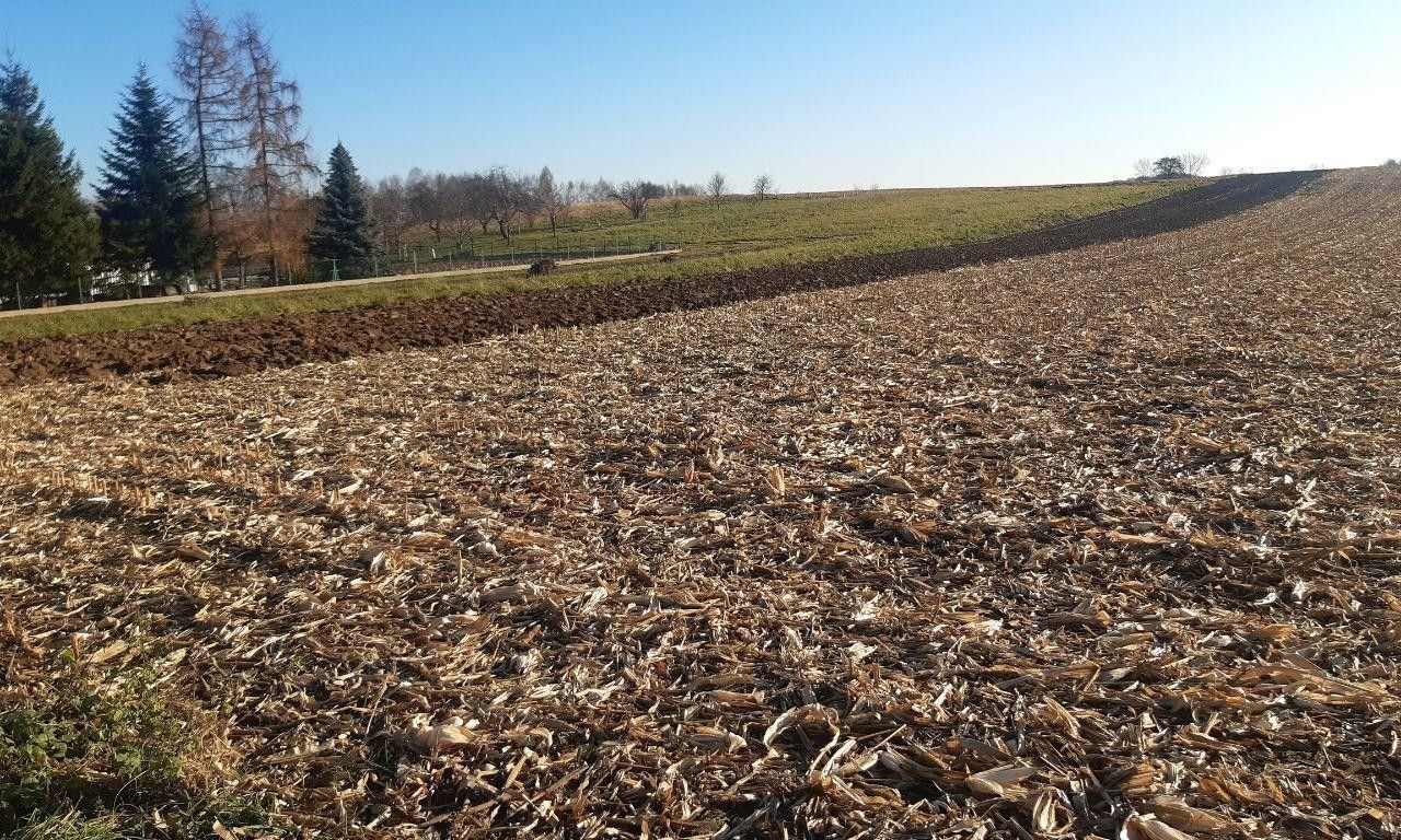 Działka budowlana Wojnicz, ul. św. Kingi. Zdjęcie 6