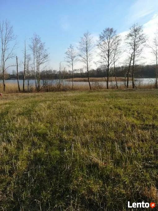 Działka rolna Kaszewo. Zdjęcie 6