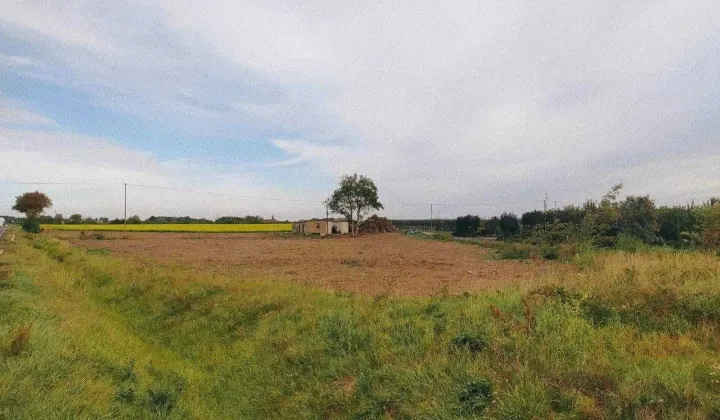 Działka rolno-budowlana Tryszczyn