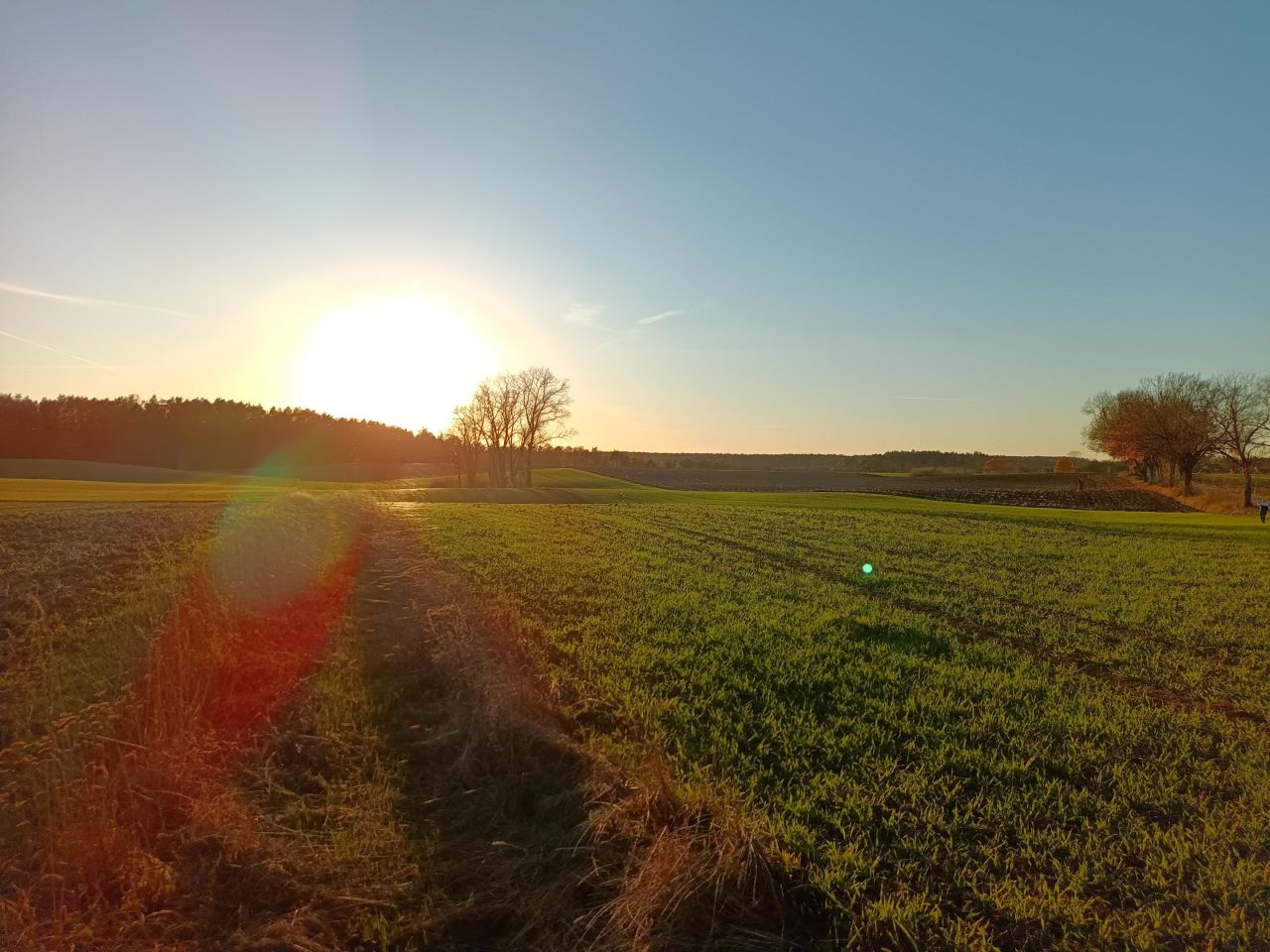 Działka rolno-budowlana Niedamowo. Zdjęcie 23