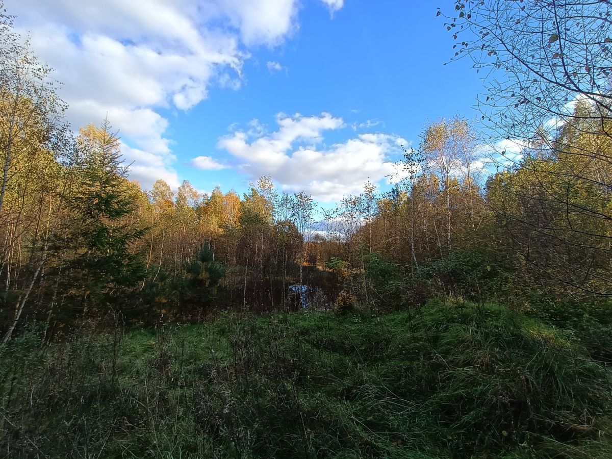 Działka budowlana Gromadzin. Zdjęcie 10