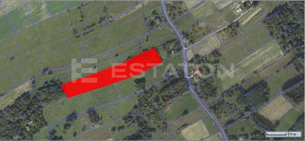 Działka Lubenia. Zdjęcie 5