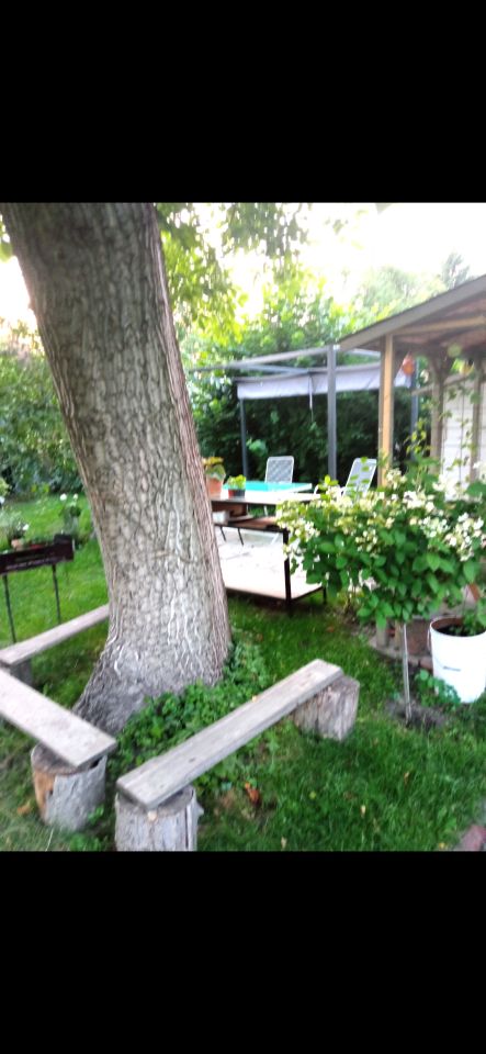 Mieszkanie 4-pokojowe Gliwice Śródmieście, ul. Studzienna. Zdjęcie 15