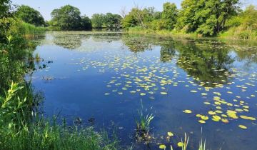 Działka rekreacyjna Głoska