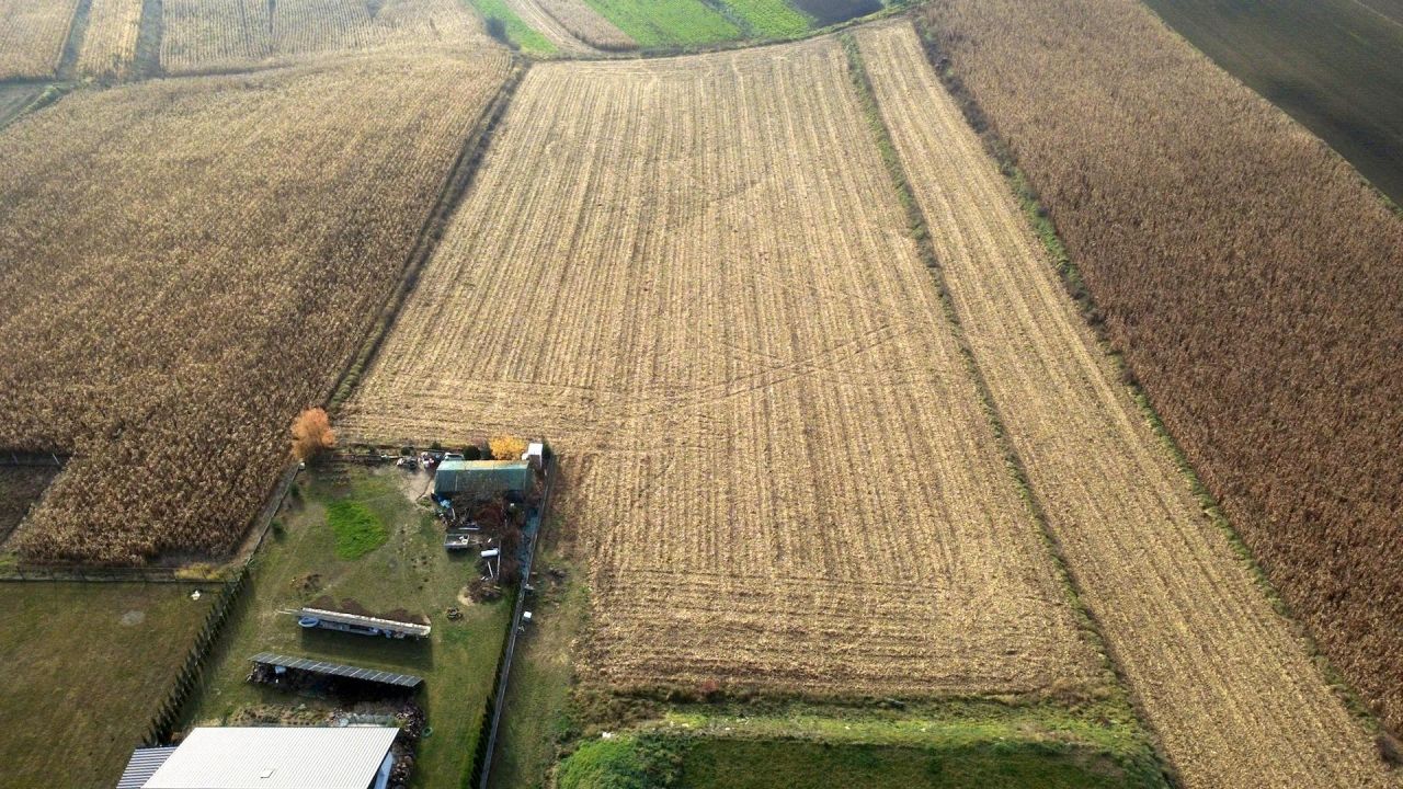 Działka rolna Gniazdowice. Zdjęcie 4