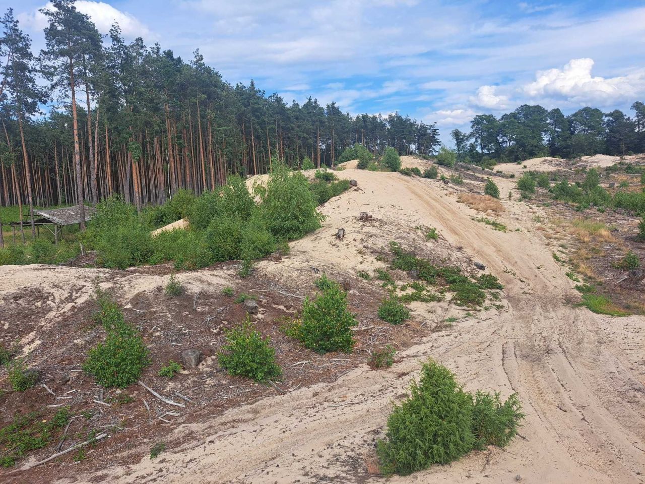 Działka rekreacyjna Kosiorów. Zdjęcie 7