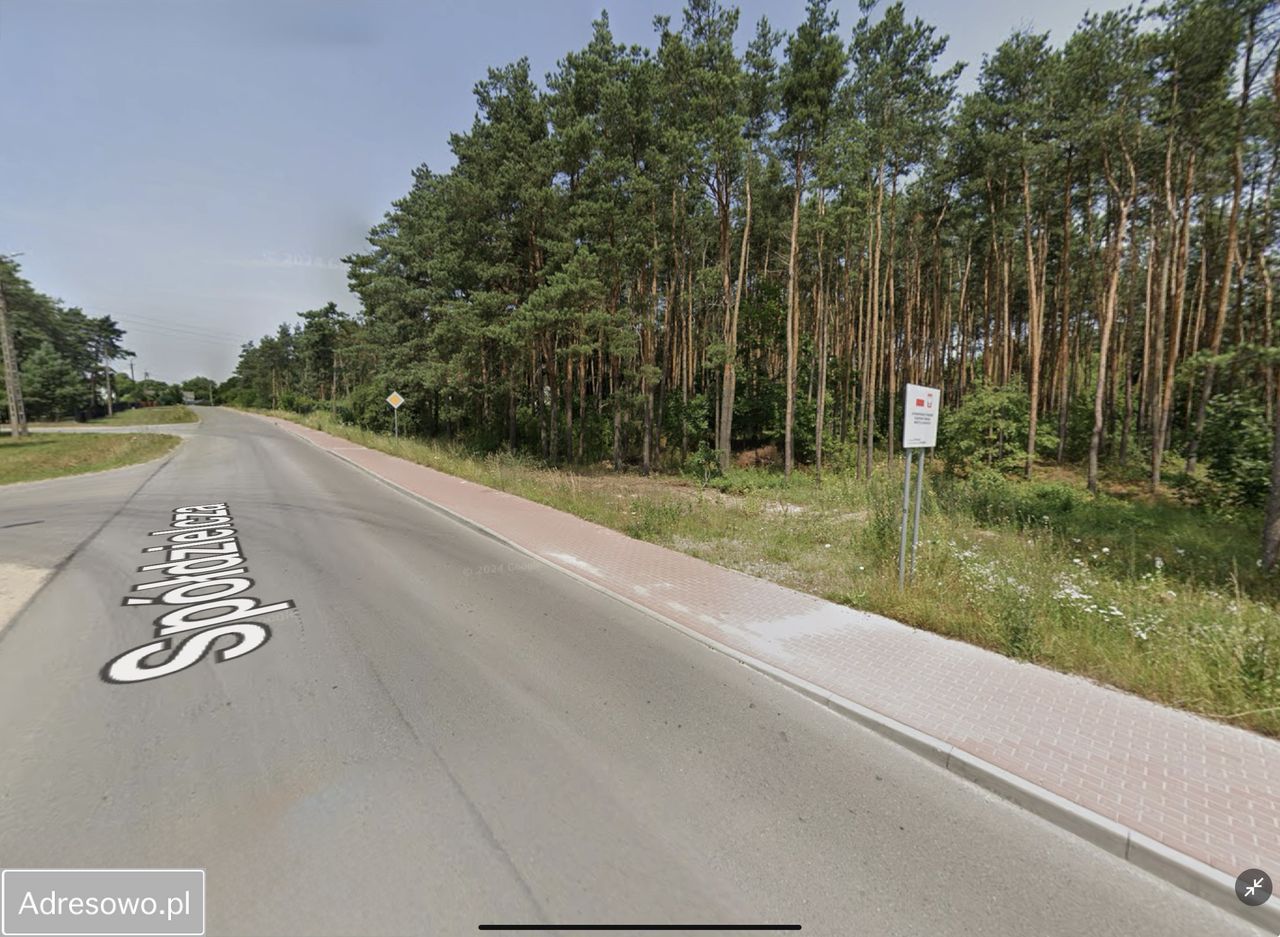 Działka leśna Janowiec, ul. Spółdzielcza. Zdjęcie 6