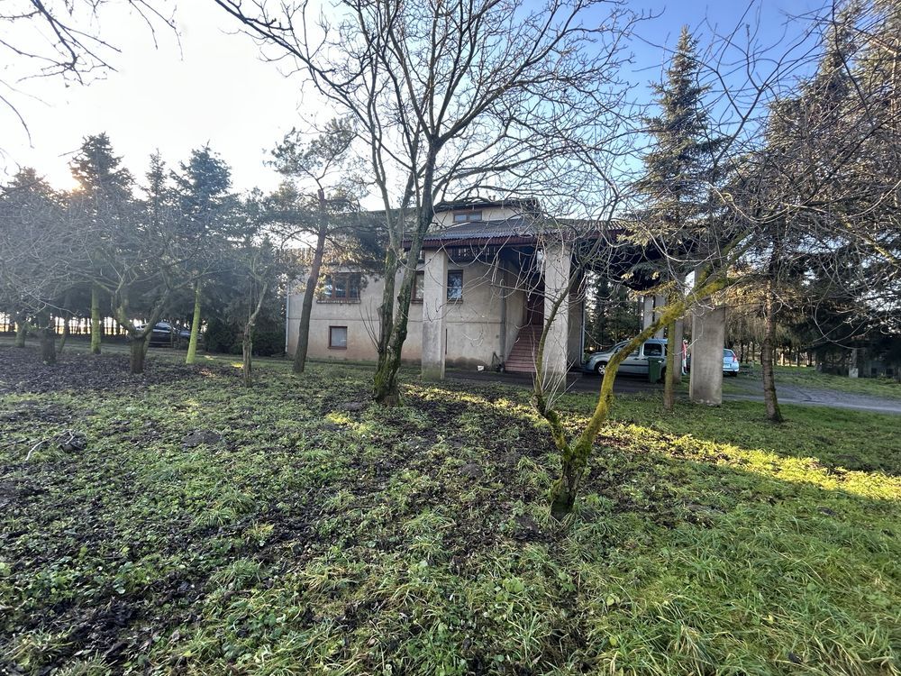 gospodarstwo Domaniew. Zdjęcie 5