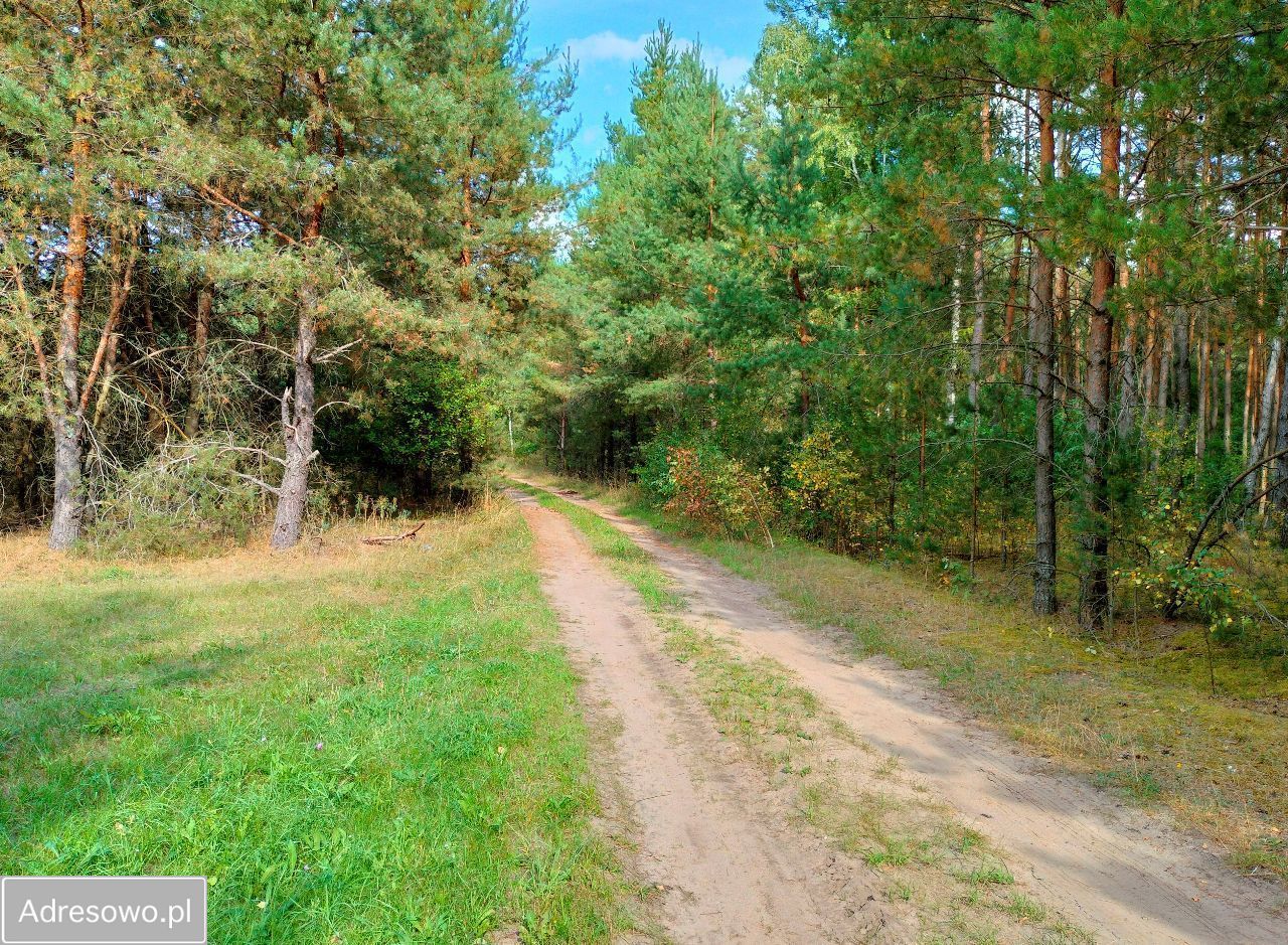 Działka rolna Narew, ul. Szlak Żubra. Zdjęcie 6