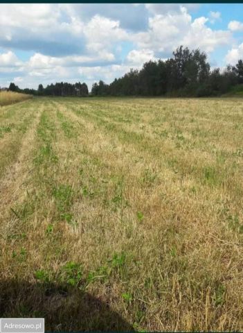 Działka budowlana Stanisławów, ul. Sokólska. Zdjęcie 1