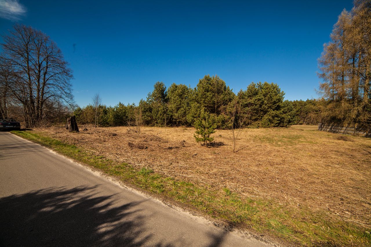 Działka budowlana Celiny. Zdjęcie 3