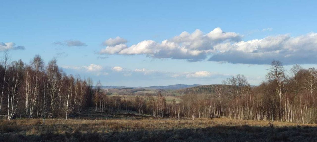 Działka rolna Kromnów. Zdjęcie 5