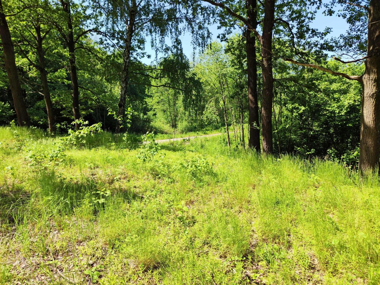 Działka budowlana Sobibór. Zdjęcie 7