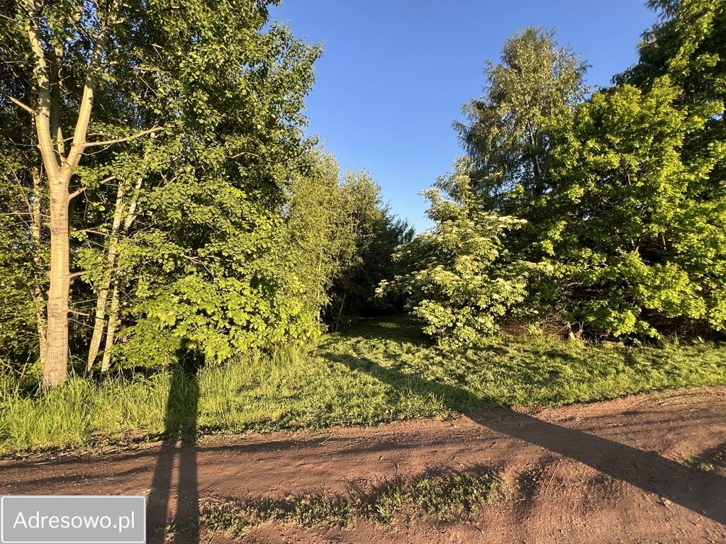 Działka budowlana Wodzisław Śląski, ul. Grodzisko. Zdjęcie 4