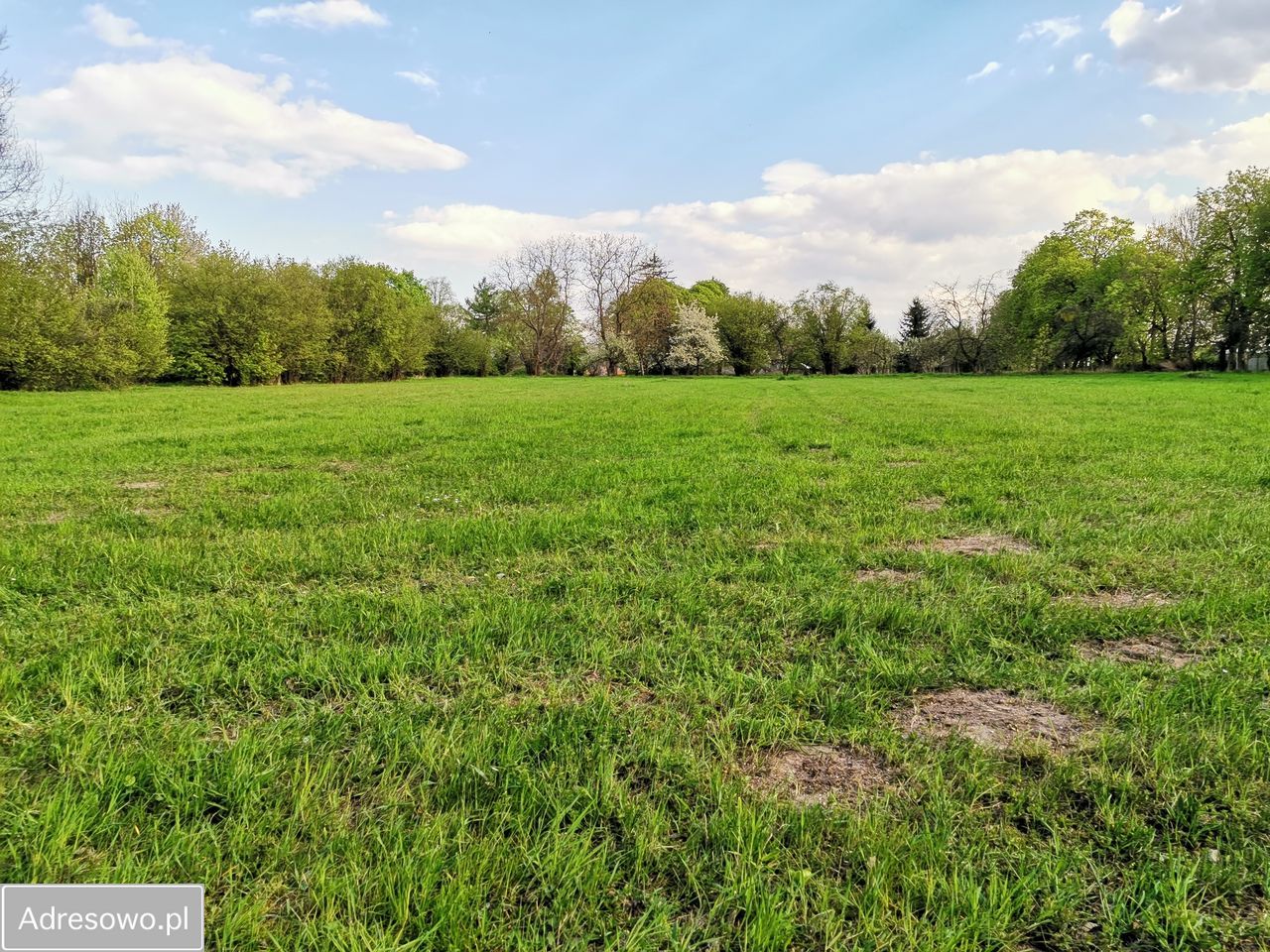 Działka siedliskowa Sobolew, ul. Żelechowska. Zdjęcie 8