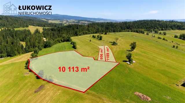 Działka leśna Pieniążkowice. Zdjęcie 13