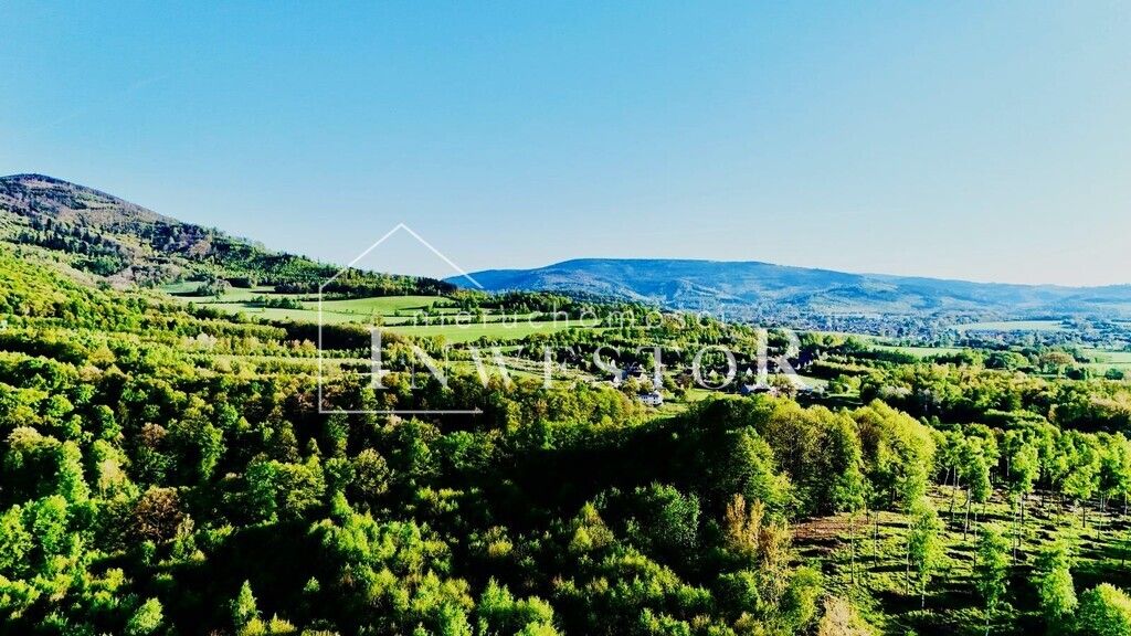 Działka Jarnołtówek. Zdjęcie 4