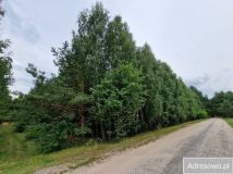 Działka rekreacyjna Orchówek, ul. Wesoła. Zdjęcie 3