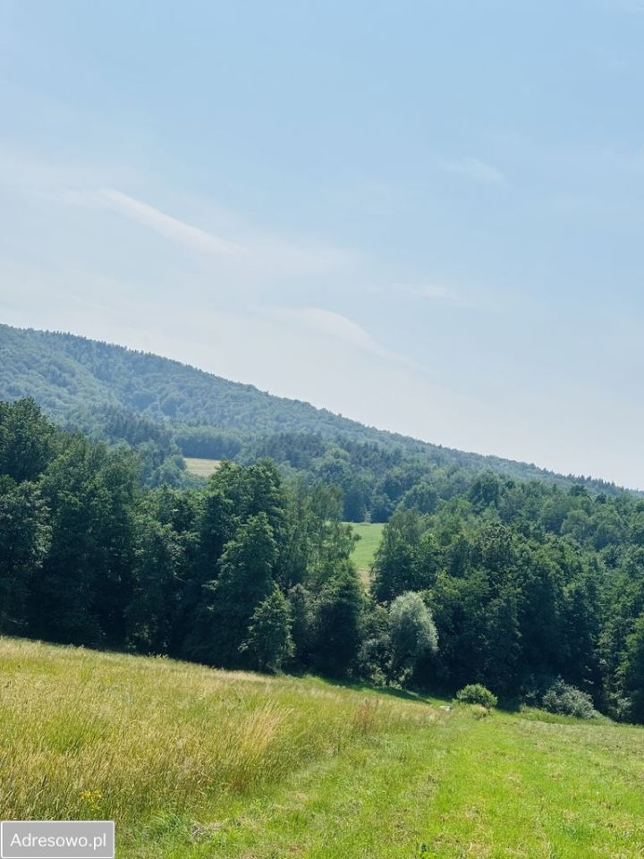 Działka siedliskowa Lipnica Dolna. Zdjęcie 6