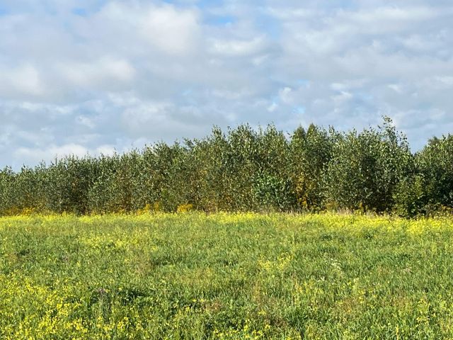 Działka budowlana Łódź Modrzew, ul. Okólna. Zdjęcie 1