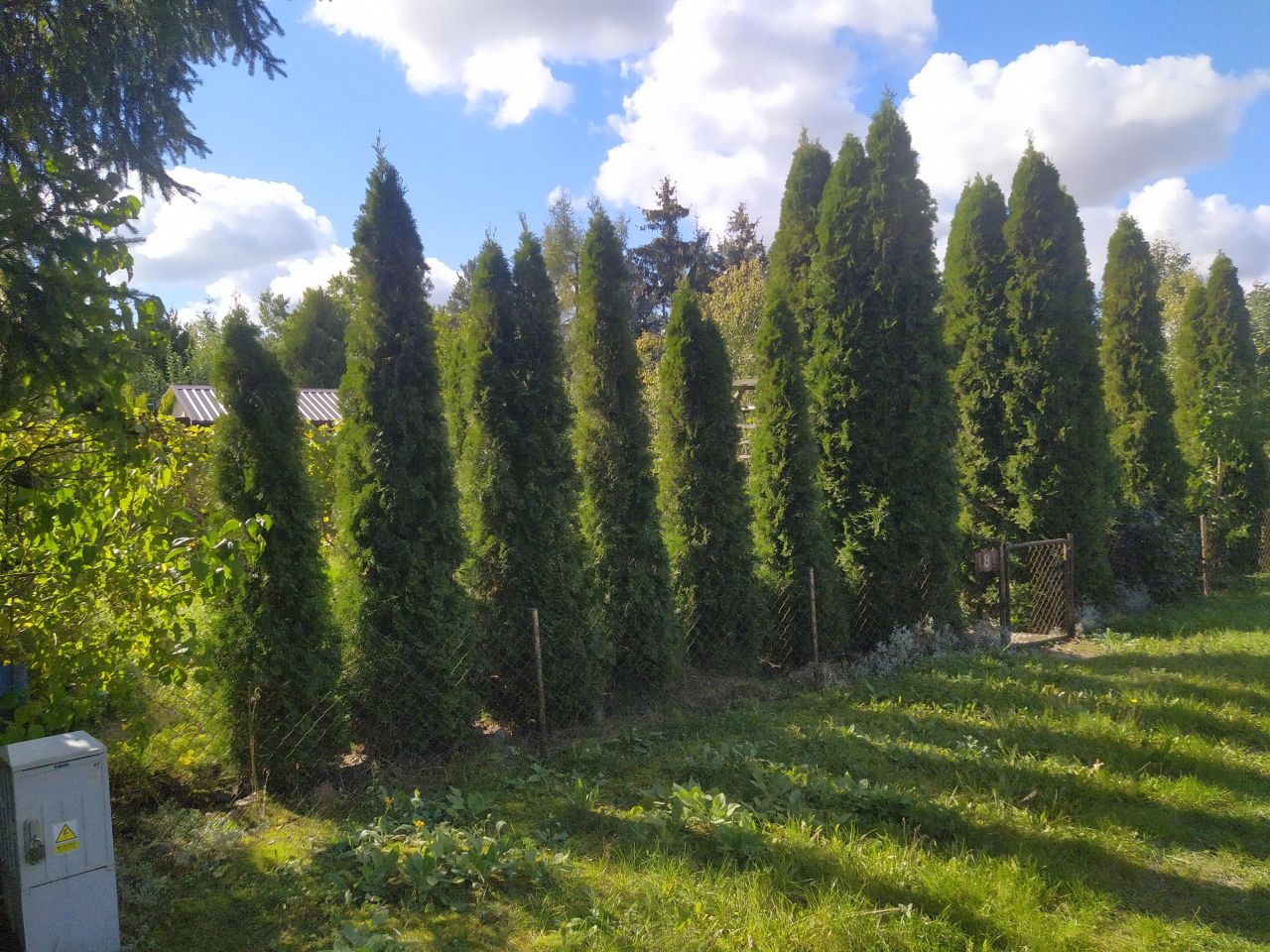 Działka rod Niedźwiada. Zdjęcie 6