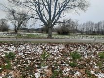 Działka budowlana Szafranki. Zdjęcie 4