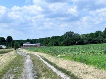 Działka budowlana Stare Rowiska. Zdjęcie 2