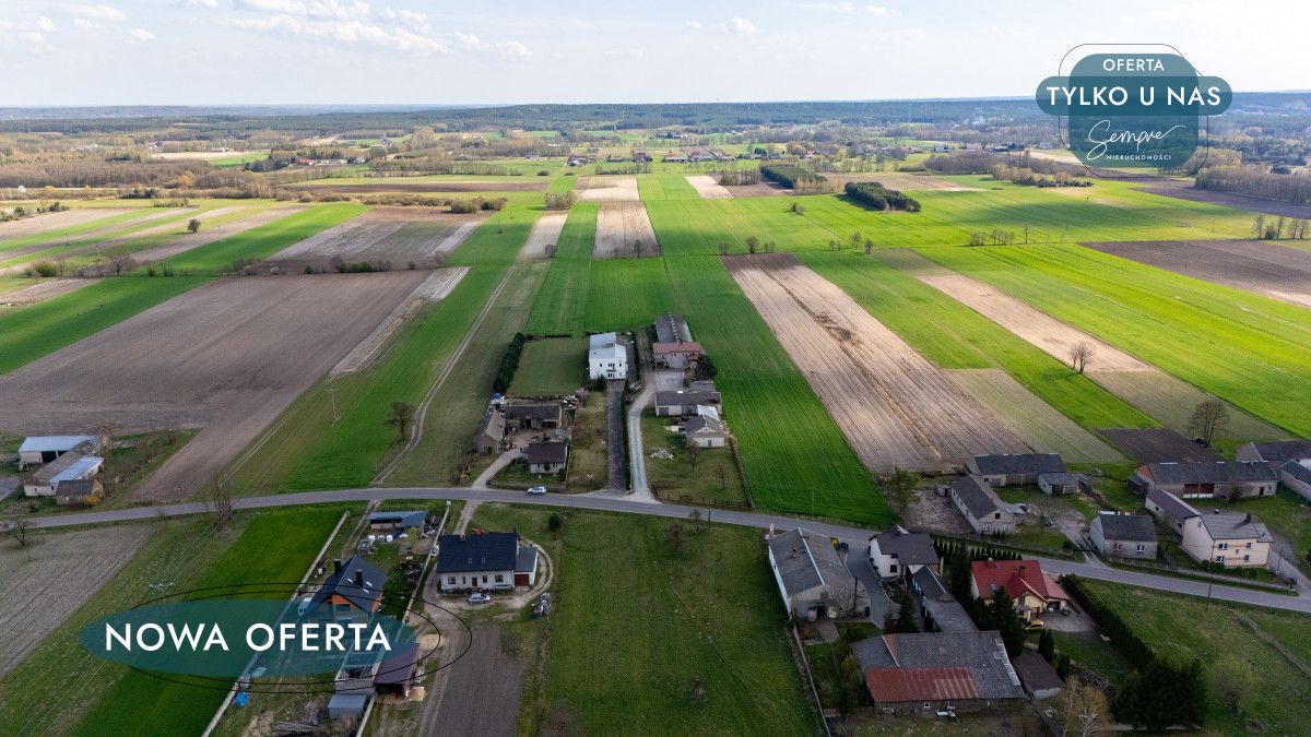 Lokal Polichno. Zdjęcie 20