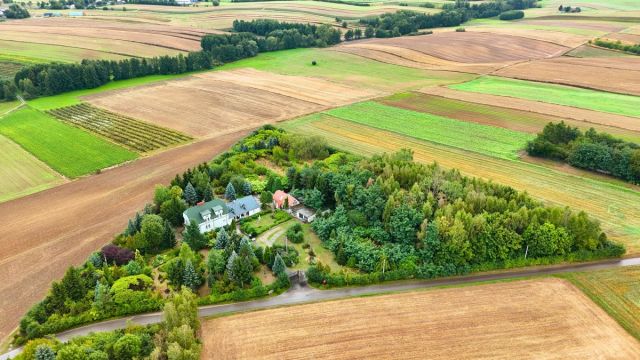Działka rolna Zochcinek. Zdjęcie 2