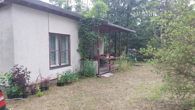 Działka leśna Goławice Pierwsze, ul. Morelowa. Zdjęcie 1