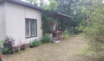 Działka leśna Goławice Pierwsze, ul. Morelowa
