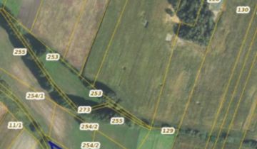 Działka siedliskowa Potaśnia