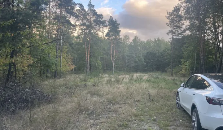 Działka budowlana Ruda, ul. Leśna