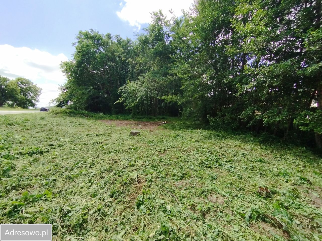 Działka rolno-budowlana Czymanowo. Zdjęcie 4