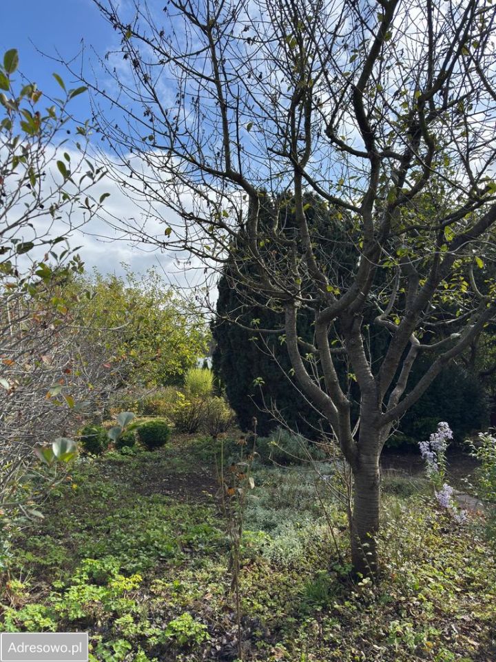 Działka rod Włocławek Lisek. Zdjęcie 5