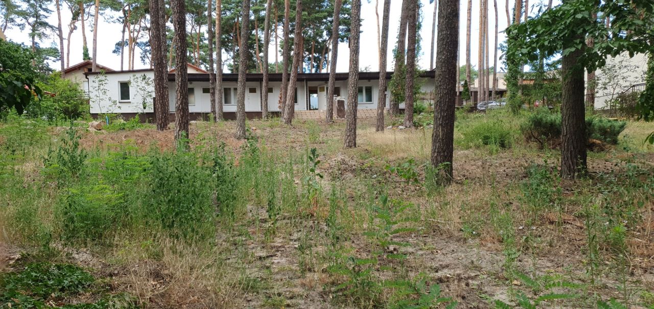 Nieruchomość komercyjna Boszkowo. Zdjęcie 3