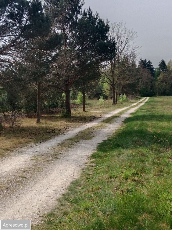 Działka rolno-budowlana Zabrodzie. Zdjęcie 5