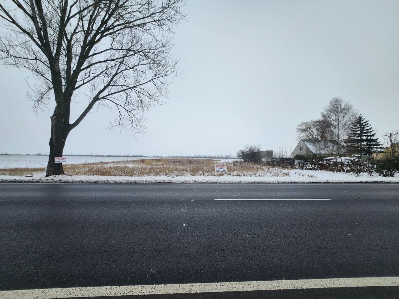 Działka rolno-budowlana Brzoza. Zdjęcie 4