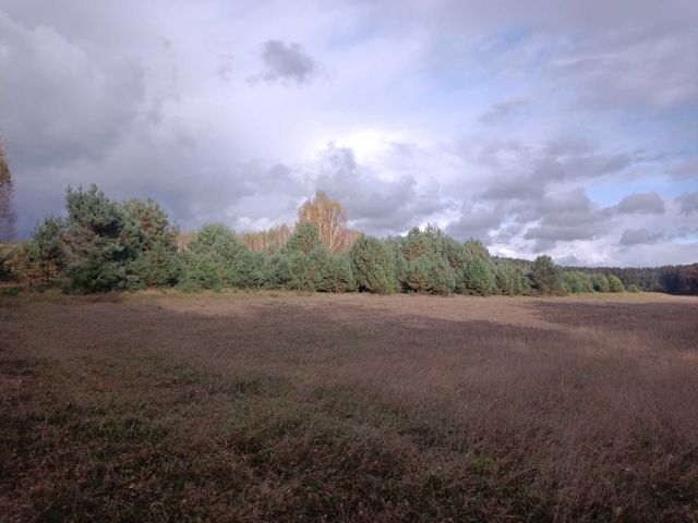 Działka rolna Osie. Zdjęcie 1