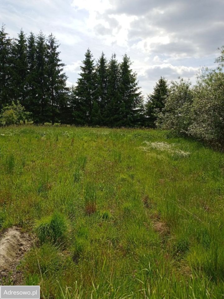 Działka budowlana Jerzmanki. Zdjęcie 6