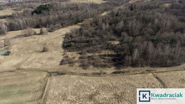 Działka rolna Lutcza. Zdjęcie 4