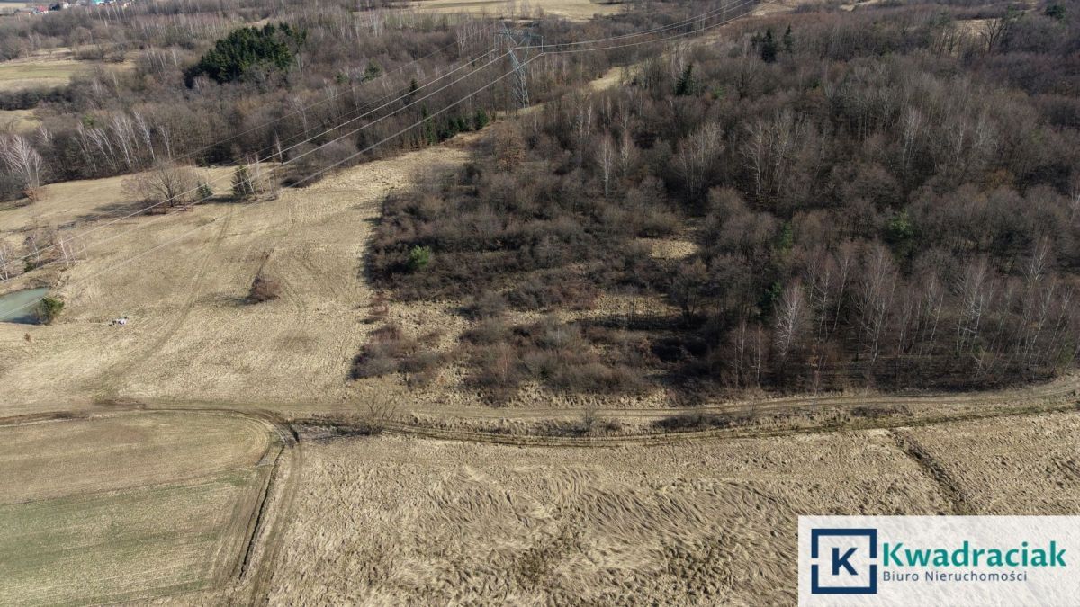 Działka rolna Lutcza. Zdjęcie 4
