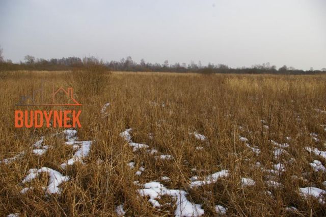 Działka rolna Malechowo. Zdjęcie 6