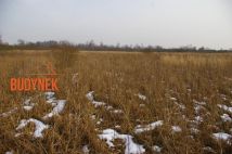 Działka rolna Malechowo. Zdjęcie 4