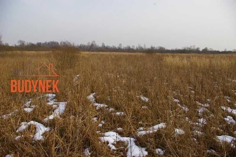 Działka rolna Malechowo. Zdjęcie 6