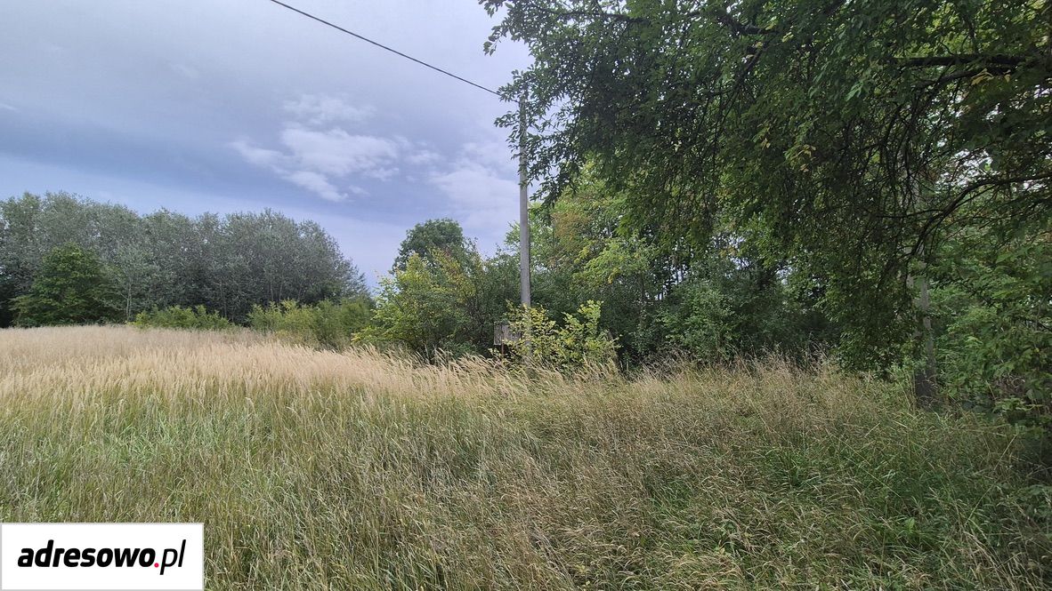 Działka budowlana Olszewice. Zdjęcie 4