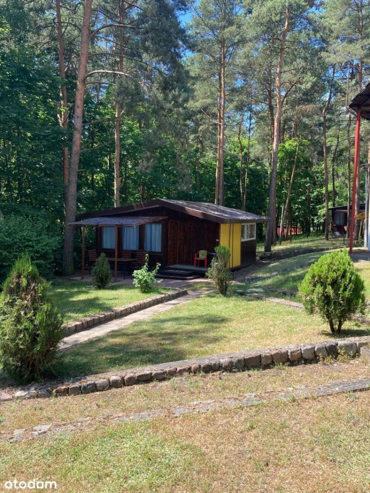 Ośrodek wczasowy Grudziądz. Zdjęcie 19